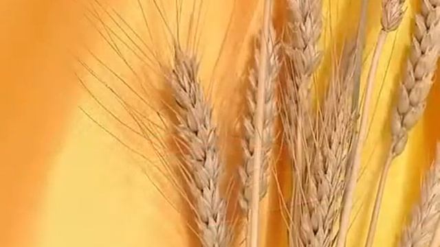 Детские занятия 2 часть смотреть онлайн