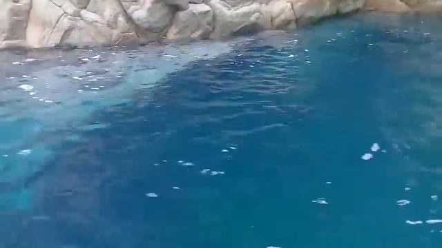 грот мертвецов смотреть онлайн