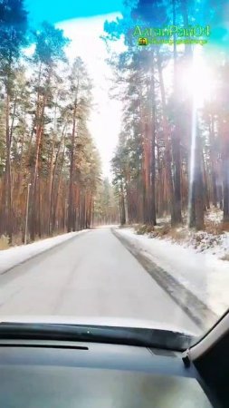 "Семейный релакс: пушистая ферма, мост на о. Патмос и радость детства"