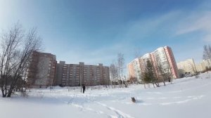 Прогулка с собакой