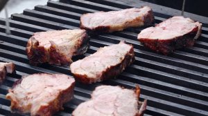 ШИРОКАЯ МАСЛЕНИЦА С «СИБАГРО»