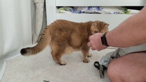 Видео распаковка с Тошей пакета с мелочевкой из Китая.