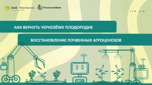 Как вернуть чернозёму плодородие: восстановление почвенных агроценозов