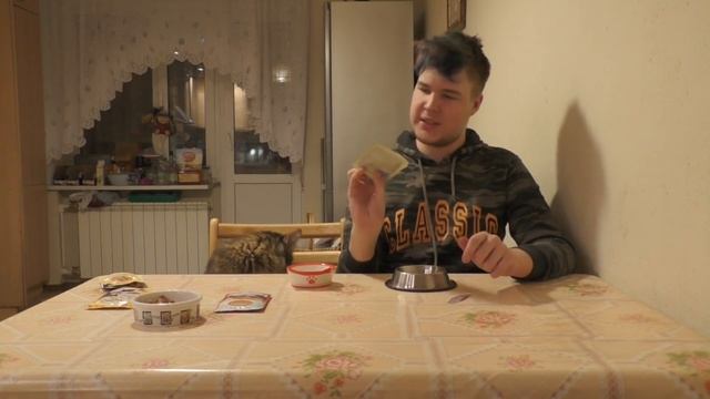 Дегустация кошачьего корма [Столовые эксперты #2] смотреть онлайн