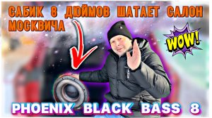 Ты не знал что может Phoenix Black Bass 8 #валерич #сабвуфер #москвич3 #своимируками