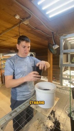 Пересадка лука 
#гиганты_АМИНОСИЛ_2025
#БуйскиеУдобрения
#средства_защиты_greenbelt