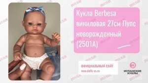 Кукла Berbesa виниловая 27см Пупс новорожденный (2501A)