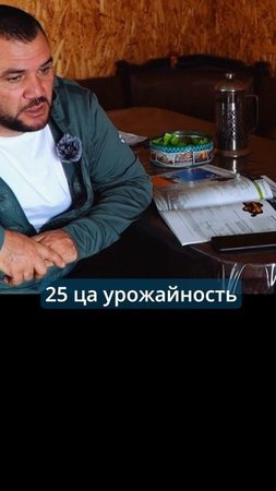 Урожайность кондитерского подсолнечника.