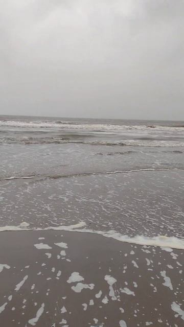 Море,Волны, Собака... #shorts#short смотреть онлайн