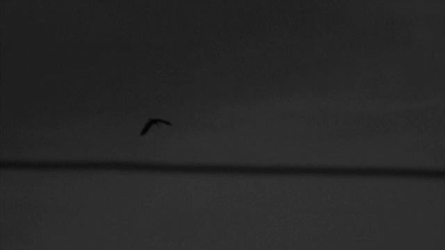 WOODLAND CHOIR - Traveller смотреть онлайн