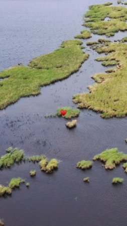 Природа — величайший художник, создающий шедевры без кисти и красок 🍃