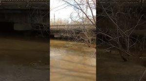 Орск , Елшанка  ост."6 школа" 03.04.2024