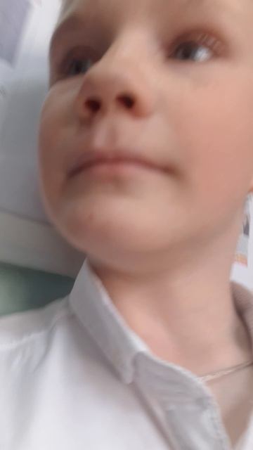 сирена в Ст. Ленинградской