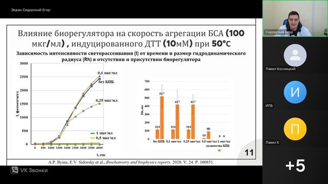 Белково-пептидные биорегуляторы: состав, строение и биологическая активность