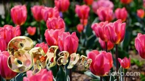 С Праздником 8 марта.