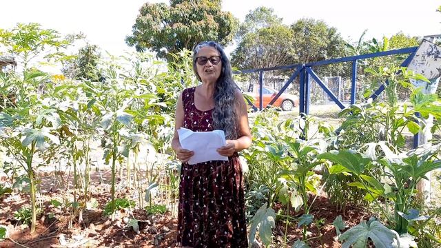 Em menos de três minutos as fases da lua para plantar todas as plantas. смотреть онлайн