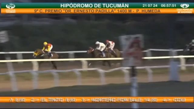 9na. Carrera - "DR. ERNESTO PADILLA" - 1.400 metros смотреть онлайн