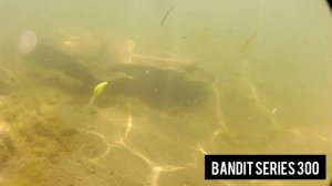 #bandit300 #bassfishing #バンディット300 #水中ルアー動画 [ UNDERWATER FOOTAGE ] BANDIT SERIES 300 水中ルアーアクション動画