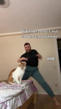 Обычный день из жизни HR