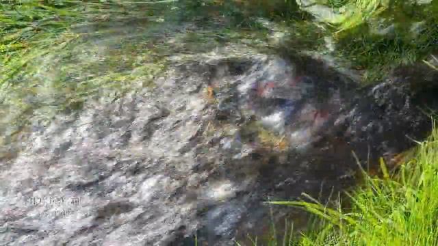 Александр Суханов - Апрель смотреть онлайн