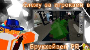 Слежу за игроками в брукхейвен РП 🏡