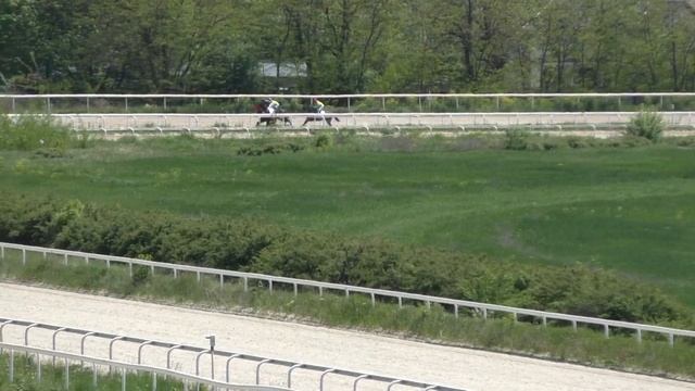 12.05.2019 - Майский приз на жеребцах 2-х лет чистокровной верховой породы - Шеф (USA) смотреть онлайн