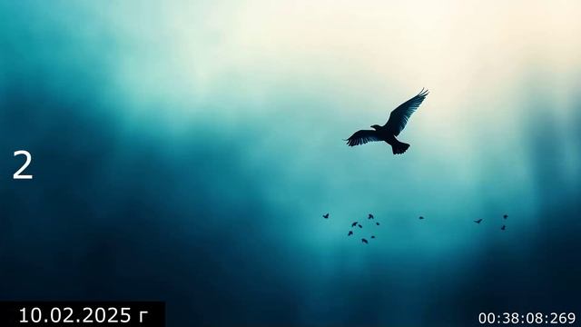 1007.3 Беседа с Евгением 2 10.02.2025 г смотреть онлайн