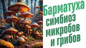 Грибы и микробы.