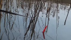 рыбалка на карпа на ПОПЛАВОЧНУЮ УДОЧКУ весной2024. ЛОВЛЯ КАРПА КАРАСЯ ВЕСНОЙ НА ПОПЛАВОЧНУЮ УДОЧКУ