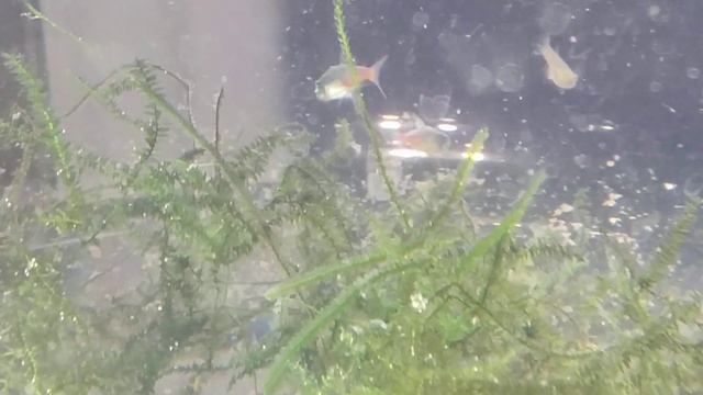 26 января 2023 г. смотреть онлайн