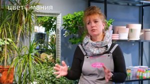 Интервью с франчайзи. Наличная 27 Цветомания