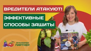 КАК ПОБЕДИТЬ ВРЕДИТЕЛЕЙ БЕЗ ХИМИИ? // Безопасные методы борьбы и профилактика