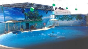 Я была в Анапе лагерь Зори Анапы