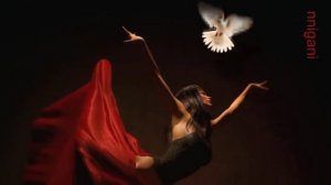 Halie Loren - Sway ⁄ Quien sera