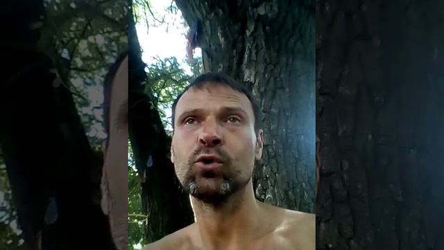 для красоток и молодёжи и детишек и ЗОЖников тоже домашние фитнес тренировки 😃 ЗОЖ ЭКО платные виде смотреть онлайн