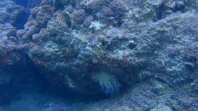 beautiful sea красивое море güzel deniz