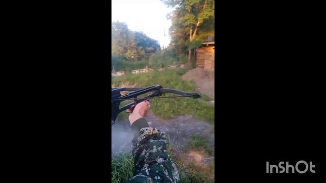 стрельба из лука и арбалета