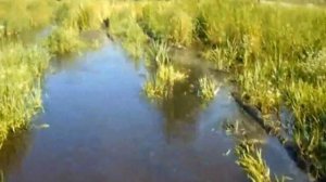 ЗИЛ 131 через пойму реки