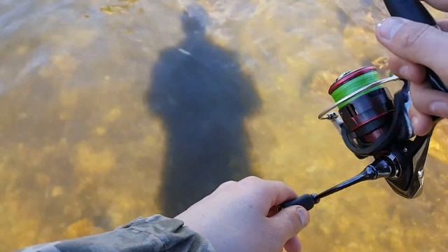 р.Гнила липа. Ловля перед нерестового ОКУНЯ на мікруху. смотреть онлайн