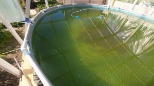 Вода из грязного пруда для бассейна Ч-2