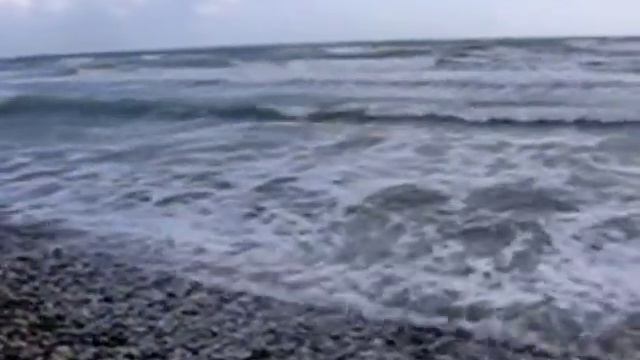 Сергей Катаев - Лебеди смотреть онлайн