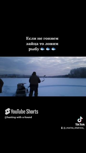 Если не гоняем зайца то ловим рыбу 🐟 🐟 🐟. #рыбалка #fishing #щука#охотасгончей #топ #hunting#tro