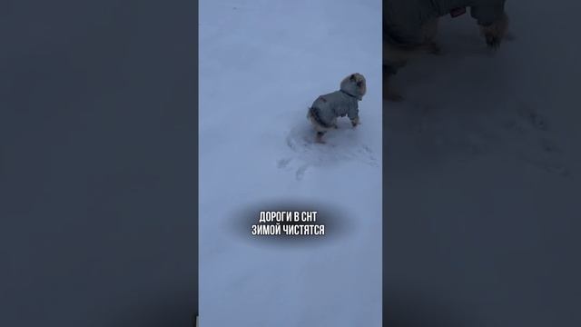 Загородный дом в Сергиево-Посадском районе