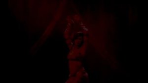 Rachel Brice Tribal  Fusion Belly Dance Collage