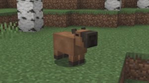 Построил ДЕРЕВНЮ КАПИБАР в Майнкрафт ХАРДКОР! Minecraft!