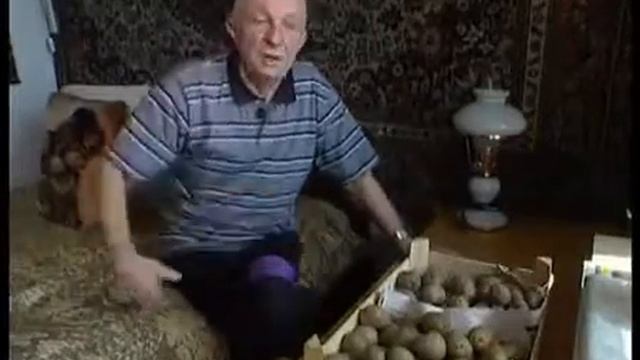 Анненков картофель