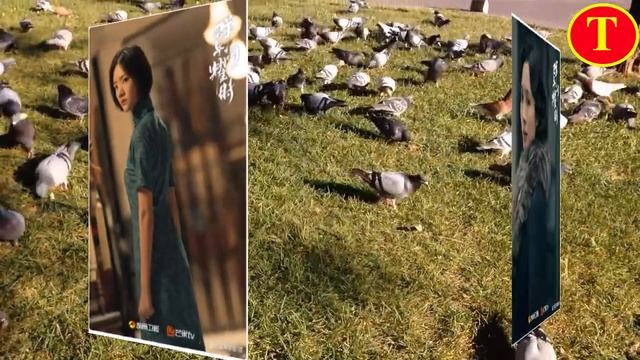 李现《群星闪耀时》播出时间定了，全员实力派，谍战剧又有天花板 смотреть онлайн