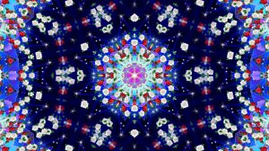 Видеофоны!!! Видеофон Розы белые и Розы красные 1!!! Футаж для монтажа видео!!!