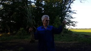 Жуков КубНИИТИМ