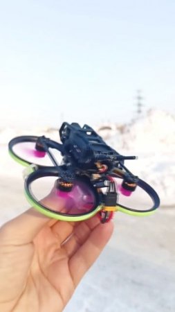 Pavo 20